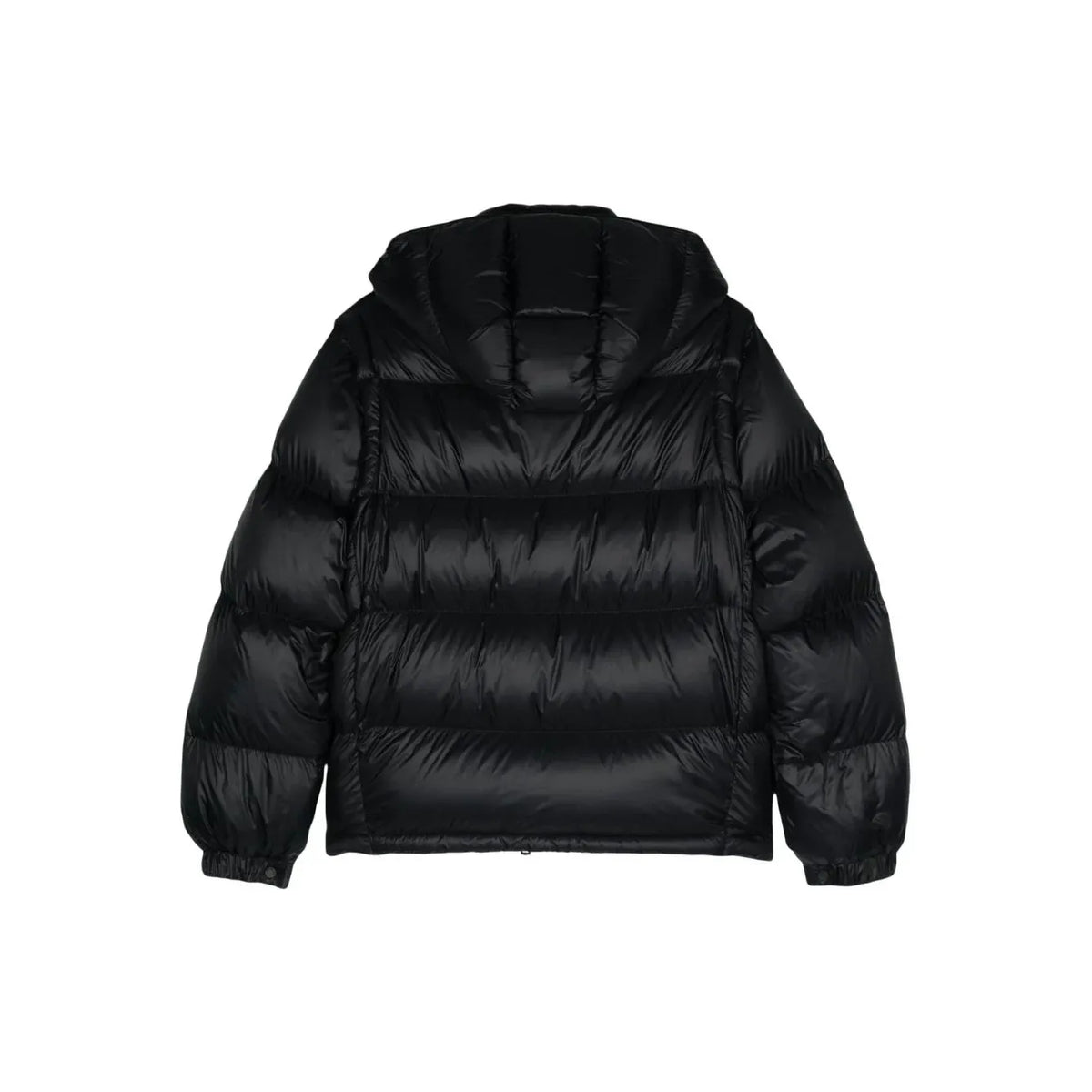 Monclr Jacket with dark green logo