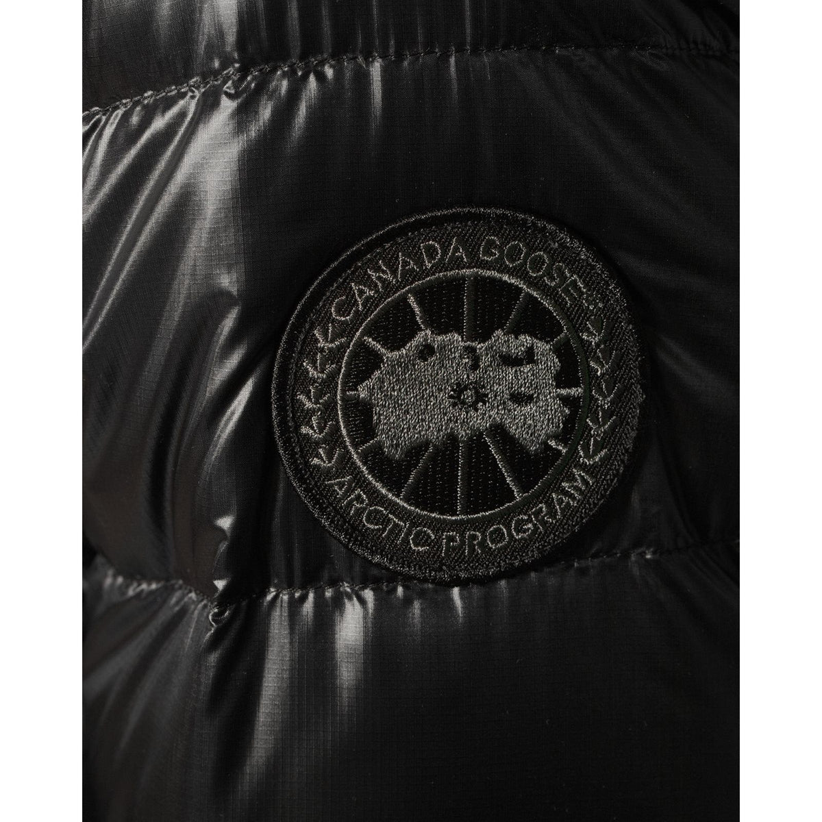 Goose Jacket