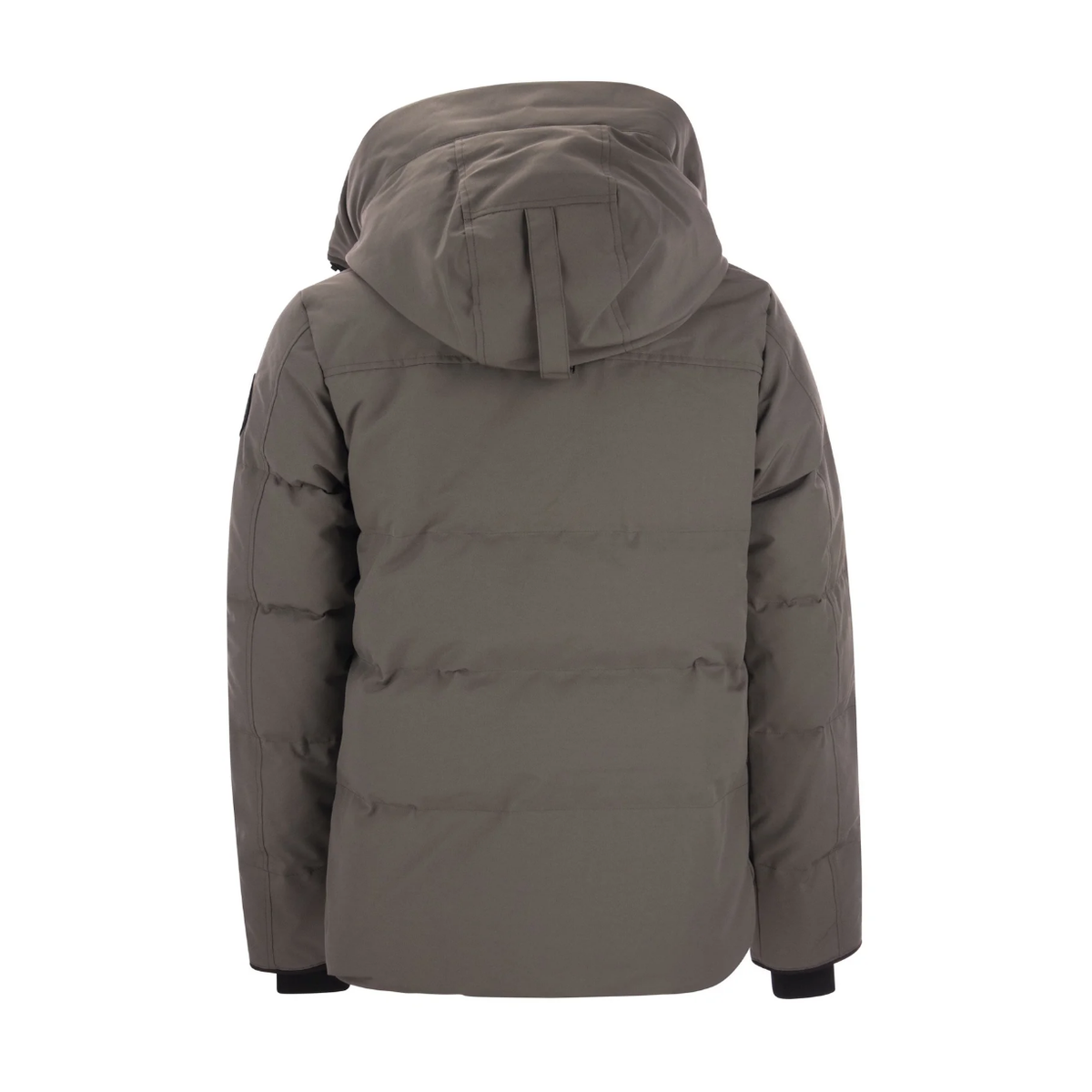 Goose jacket